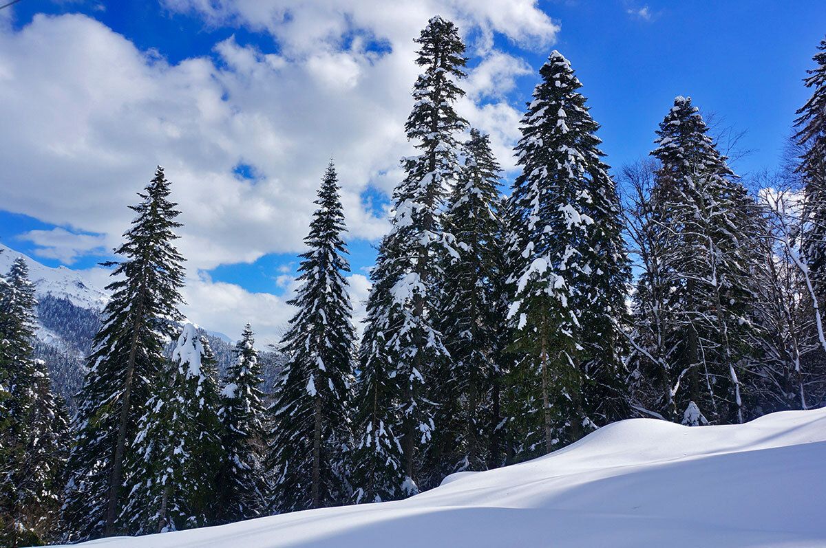 Горнолыжный тур на Красную Поляну