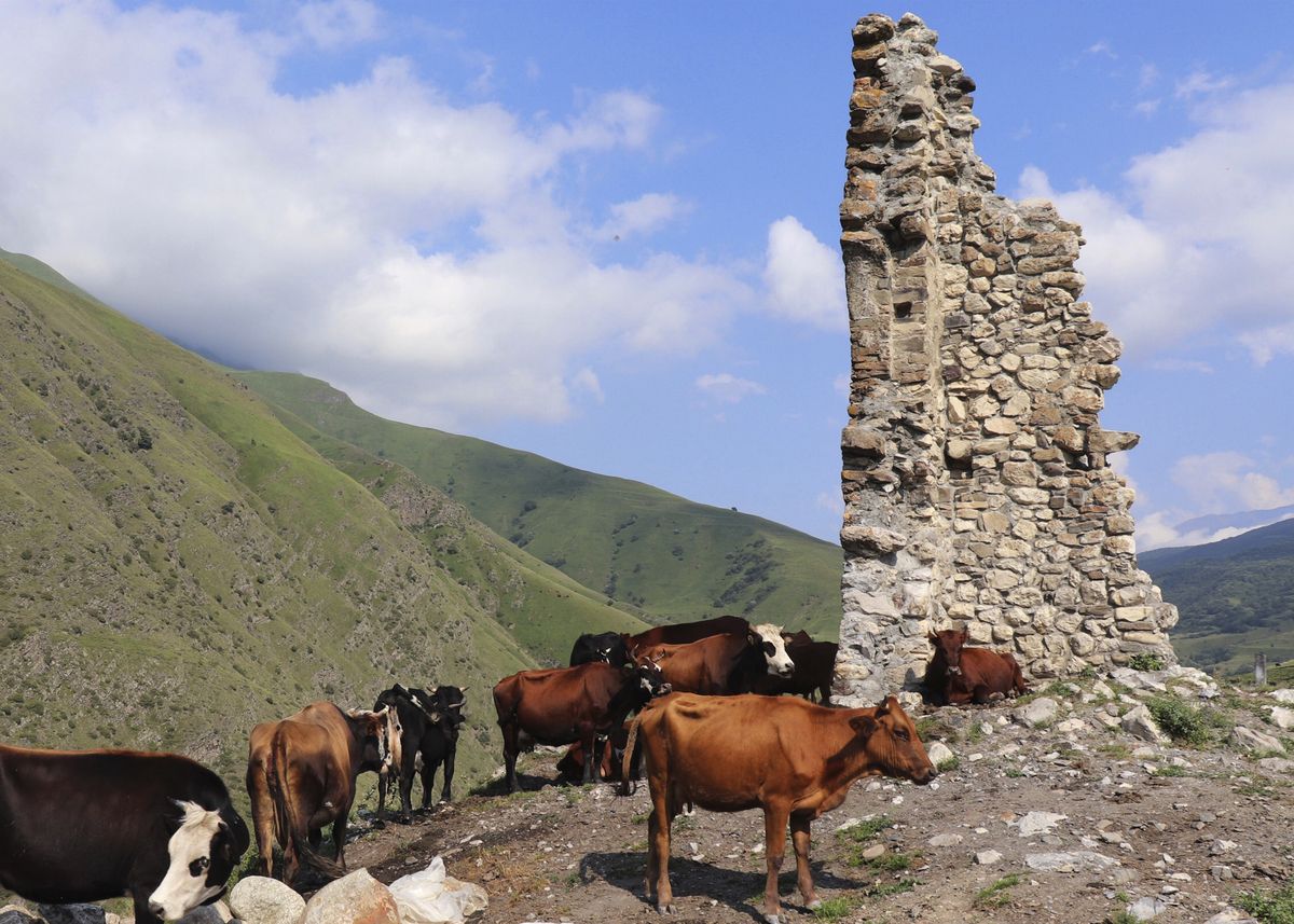 Фотосессия и 3 экскурсии в Северной Осетии