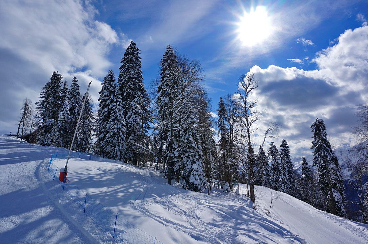 Горнолыжный тур на Красную Поляну