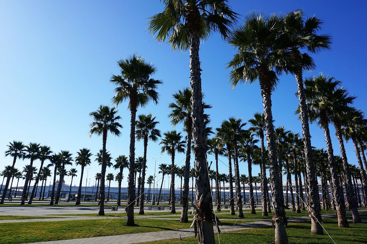 Горнолыжный тур на Красную Поляну