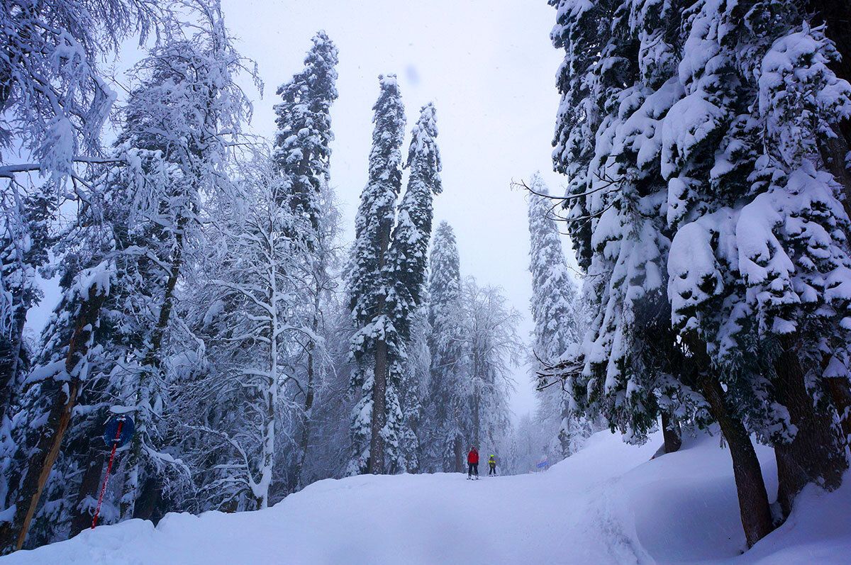 Горнолыжный тур на Красную Поляну