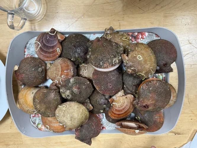 Арктический релакс: путешествие на Кольский полуостров