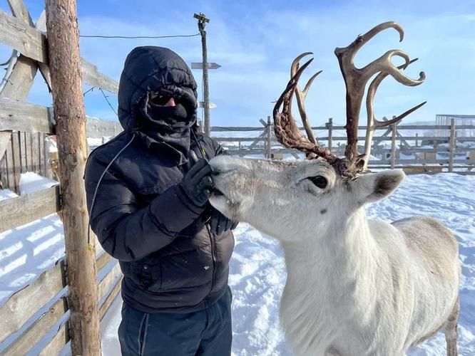 Териберка: в объятиях природы