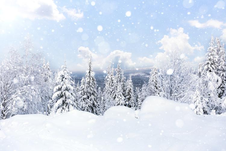 Автобус| Зимнее великолепие гор Кавказа: в гостях у природы, снега и гостеприимства из Пензы