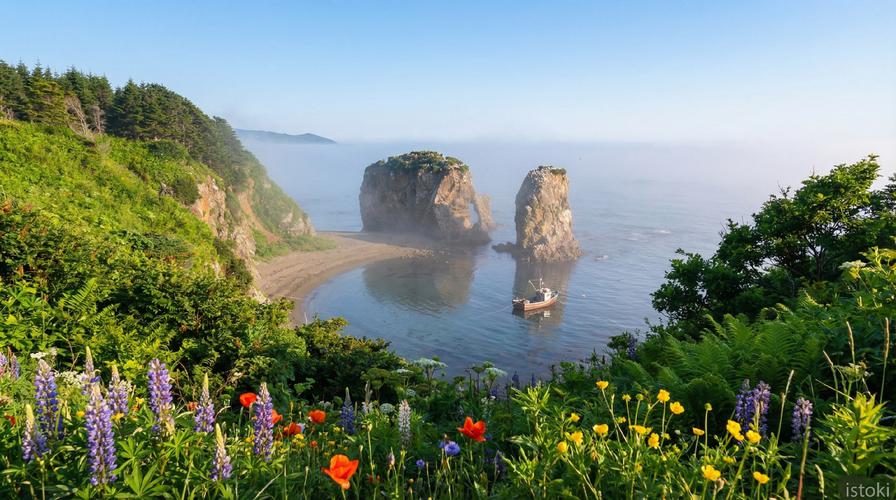 Дыхание океана: сивучи и просторы Сахалина