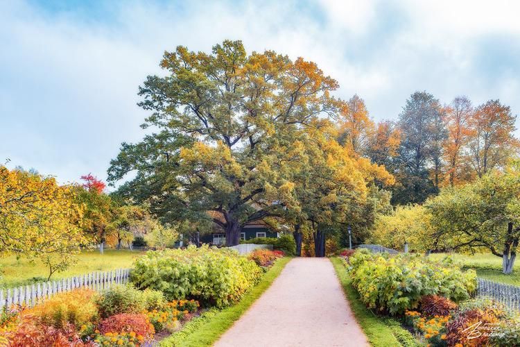 Автобус | Путь сквозь северные тайны: Гдов – Самолва – Елизарово – Псков – Себеж – Ореховно