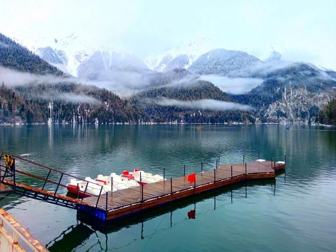 Где каждый лепесток — капля света