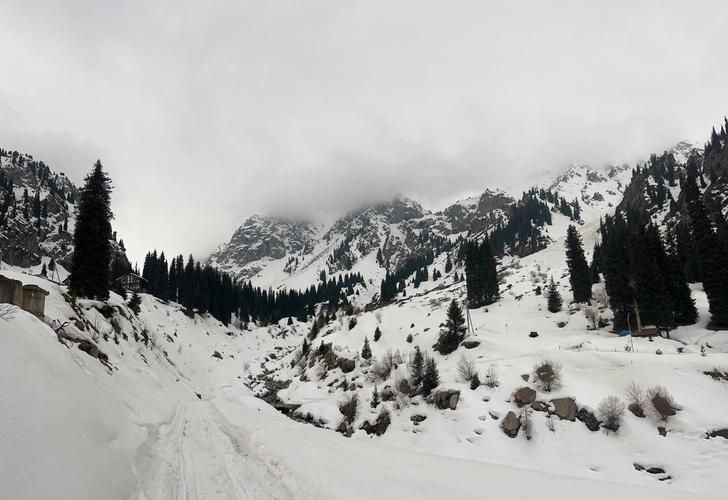 Автобус| Зимнее великолепие гор Кавказа: в гостях у природы, снега и гостеприимства из Пензы