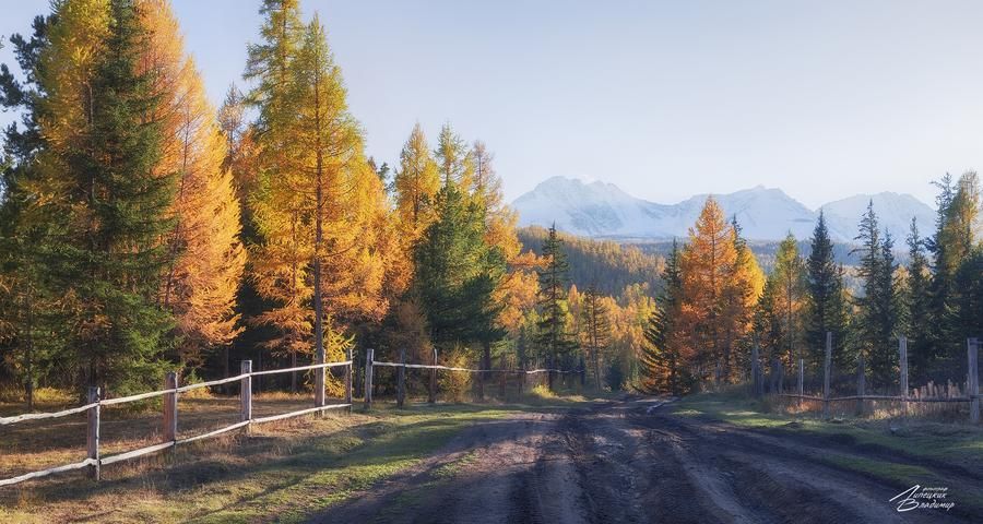 Автобус| В Тобольск! (промо)