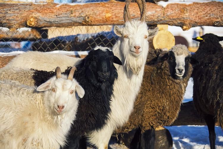 Байкал: где лёд поёт, а зима дарит тишину, которую можно почувствовать сердцем
