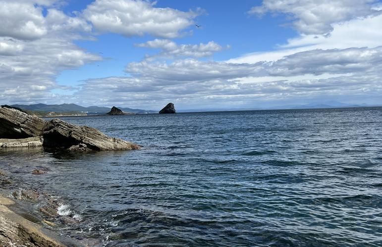 Экотур во Владивосток