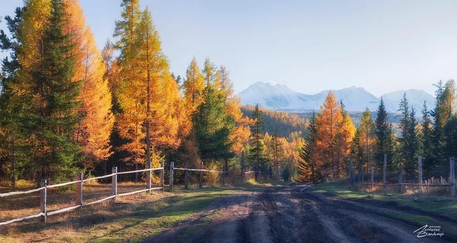 Марсианский уик‑энд на Алтае
