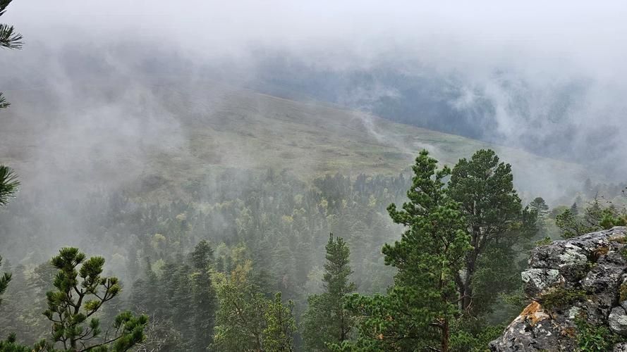 Зелёное сердце Кавказа: путешествие по Адыгее