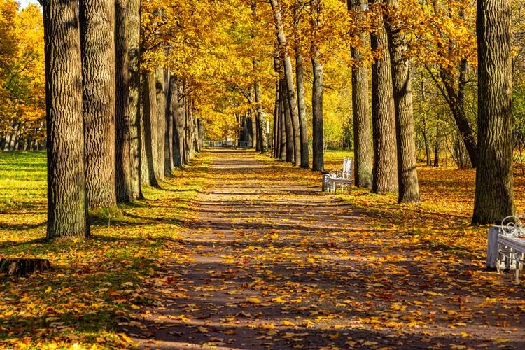 Автобус| Водный отдых в Лимпопо: горки, бассейны и спа