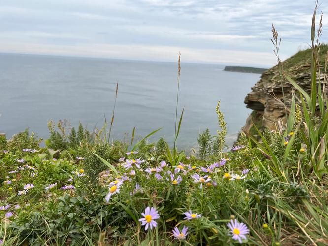 Восемь дней у океана: открытие Владивостока