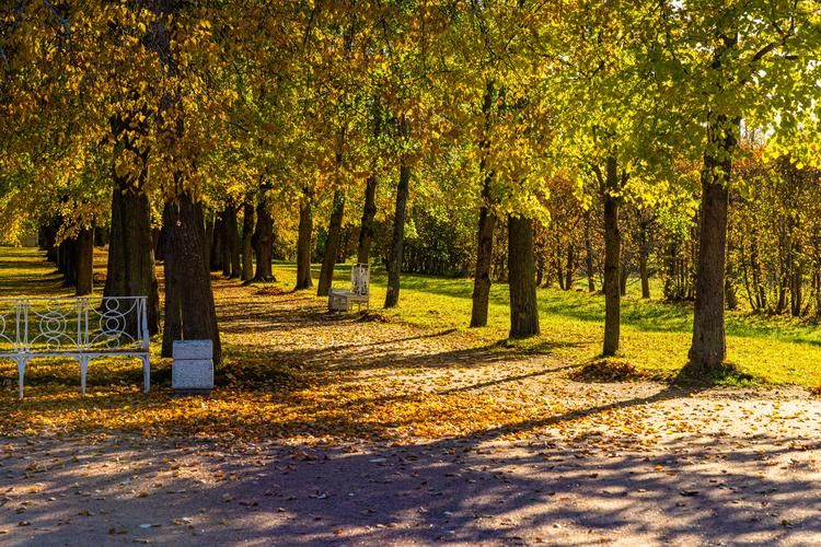 Блистательный Петербург: красота и история