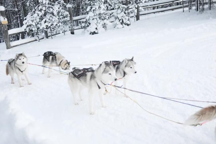 Карелия. Зимние впечатления и гостеприимство