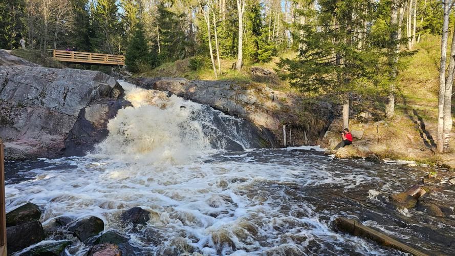 Усадебные сокровища выборга