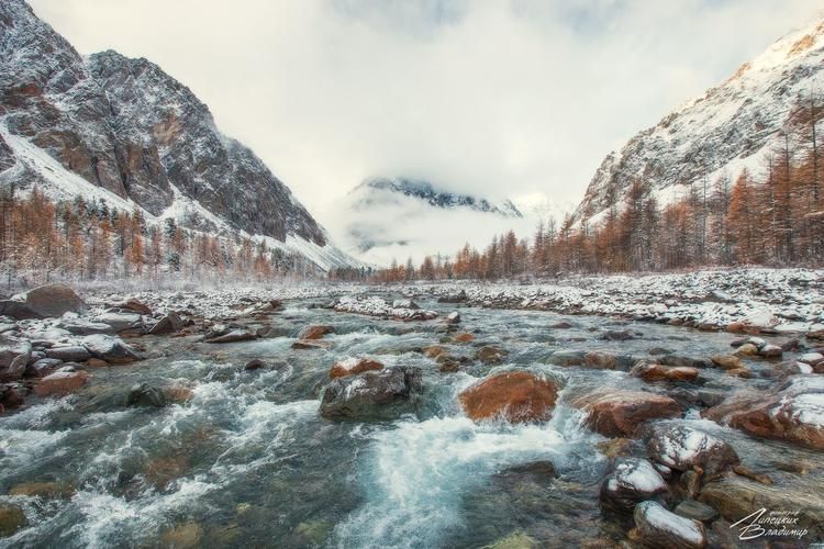 Алтайские сокровища природы