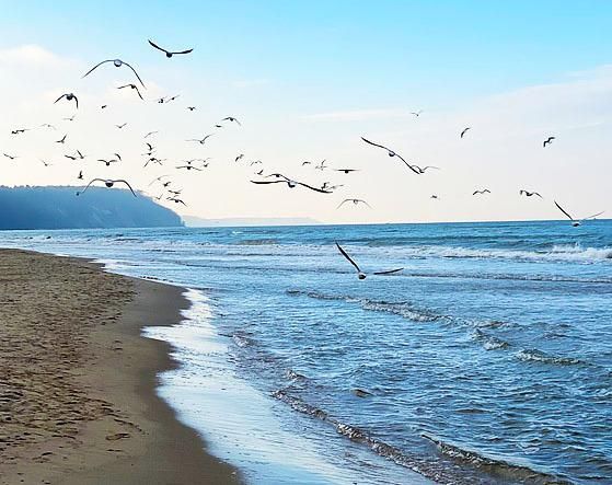 Балтийское лето: 4 дня в Калининграде