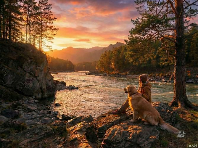 Тропами Алтая: от северных лесов к южным хребтам