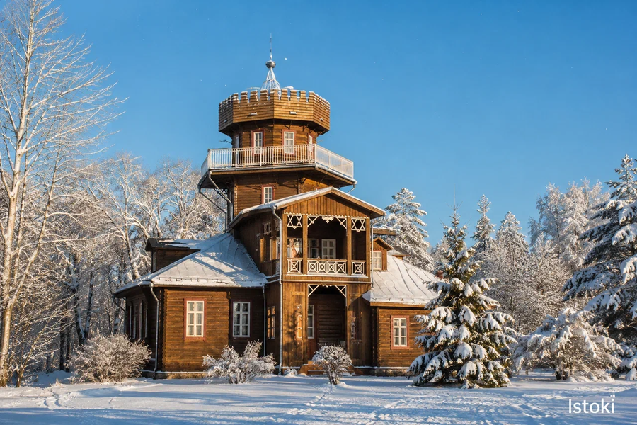 Автобус| Беларусь: новогодняя история королевских городов из Воронежа