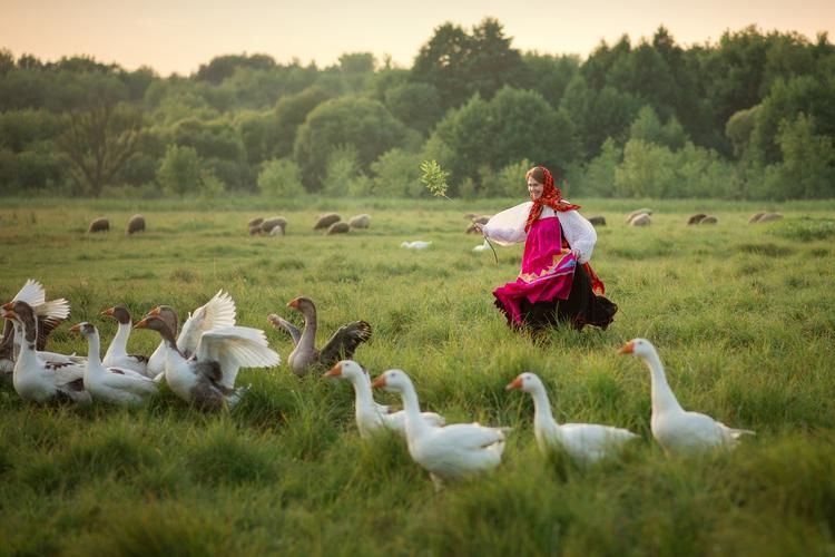 Сибирь, что кормит сердце