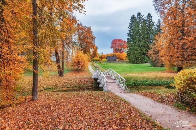 Автобус| Легенды и былины Пскова и Великого Новгорода