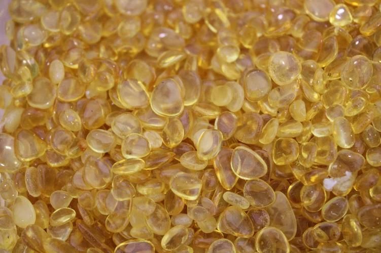 Балтийское лето: 4 дня в Калининграде