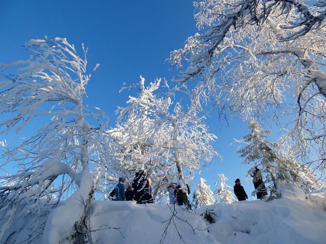 Автобус| Зимняя сказка в Пермском крае: от Белого камня до Усьвинских столбов