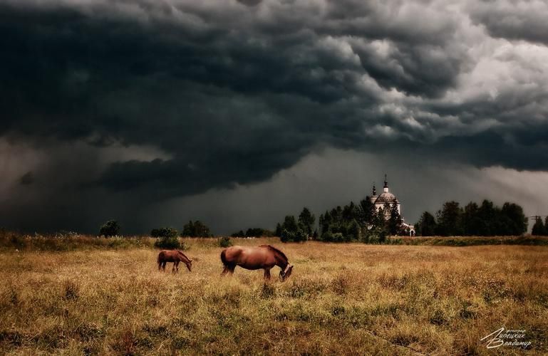 В Сибирь по своей воле