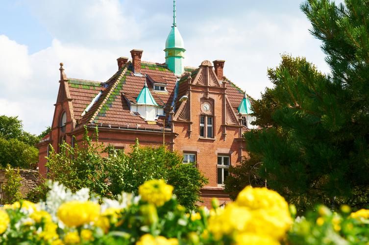 Калининградский край: зимняя мозаика в новогодние праздники