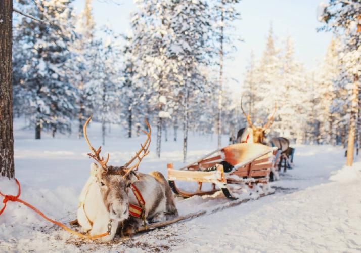 Сказочные приключения на Новый год