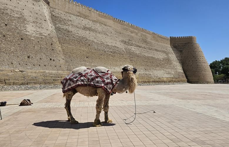 Узбекистан в праздничном наряде