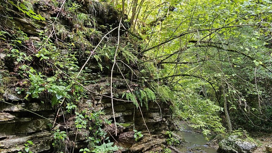 Экстрим‑тур по Адыгее: вода, горы, рельсы