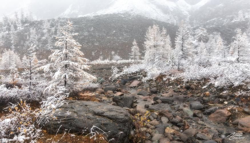 Снежный экспресс: Нижняя Катунь и Чемал