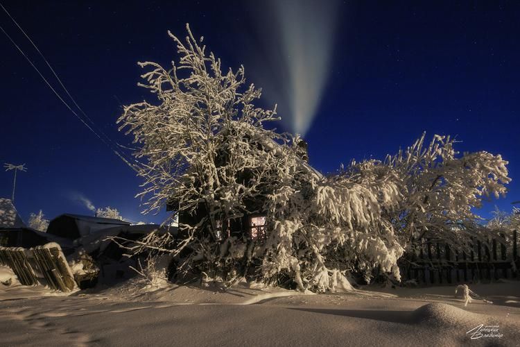 Свет, что пришёл не с неба — а из глубины леса